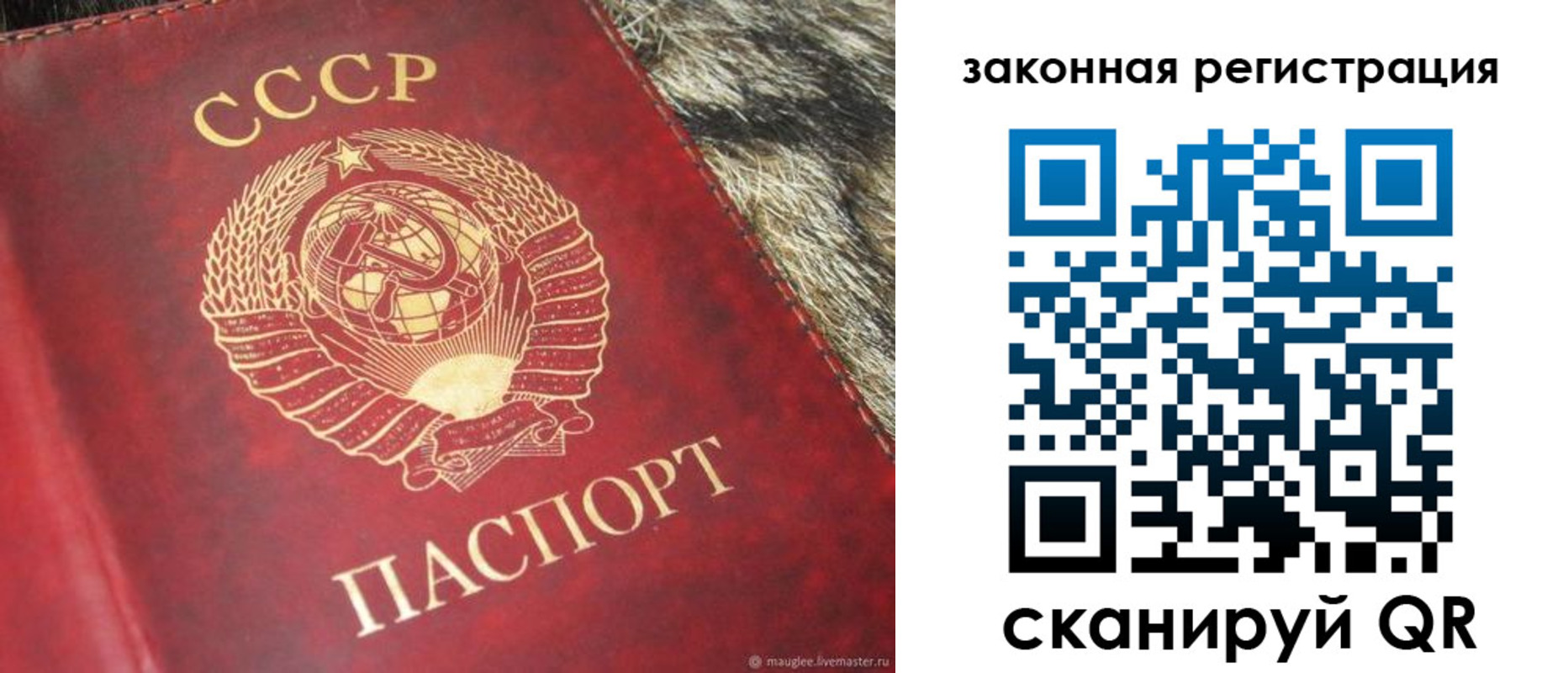 прописка от собственника в Лесозаводске